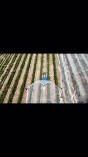 🍇 Nets are on for #vintage2026 

🍷 Enjoy our current range of unique wines at the cellar door 

📍10AM - 5PM weekends and public holidays