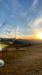 🍾Join us this Mother’s Day at Pankhurst Wines 🍾
Enjoy relaxing with a wine tasting that includes older vintages from the cellar and a cheese platter 

BOOK NOW 👉 0418 667 433