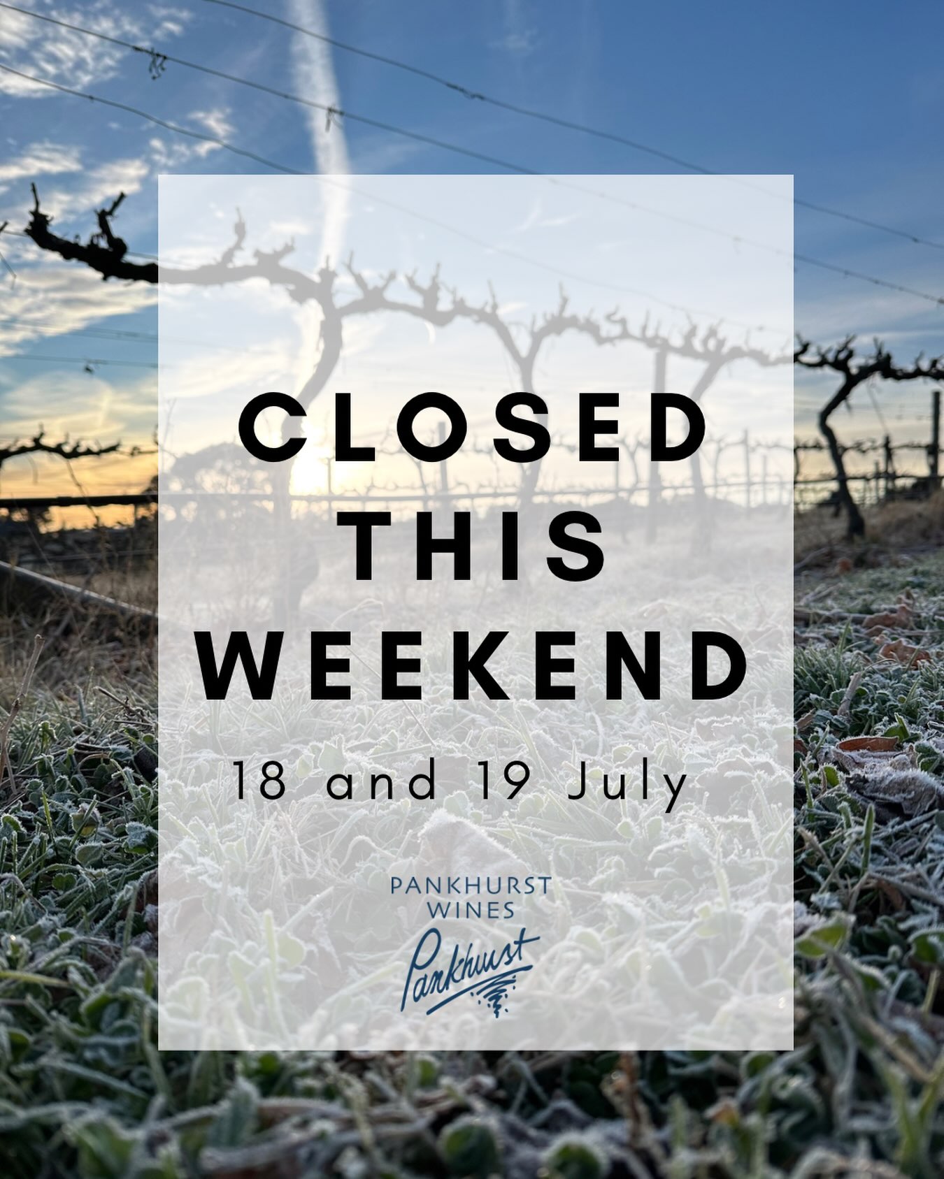 See you from 25 July for the FIRESIDE Festival. Check out our bio for more information.