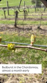 Season 2027 begins, and we’re about 3-4 weeks early ☀️🌱